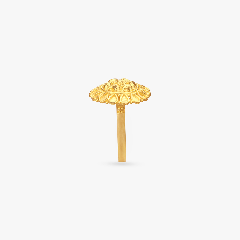 Regal Dome Gold Ring,,hi-res image number null