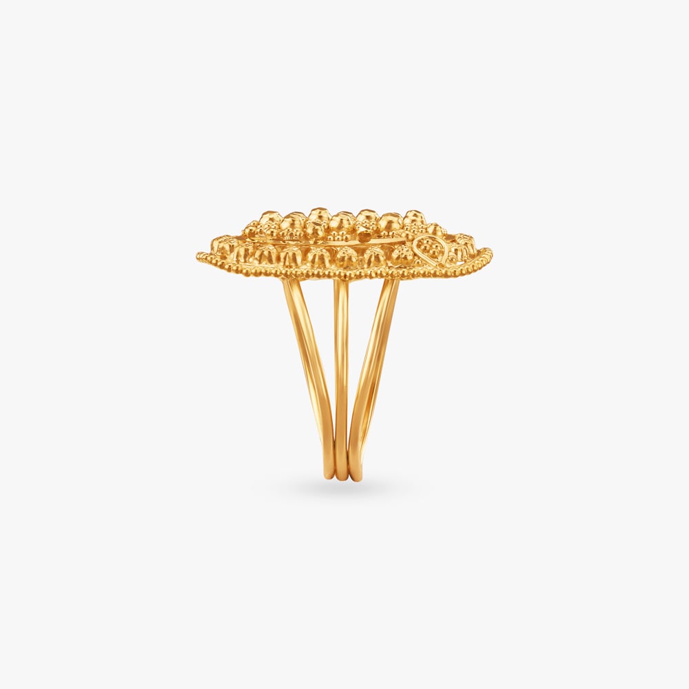 Oval Elegance Gold Ring,,hi-res image number null