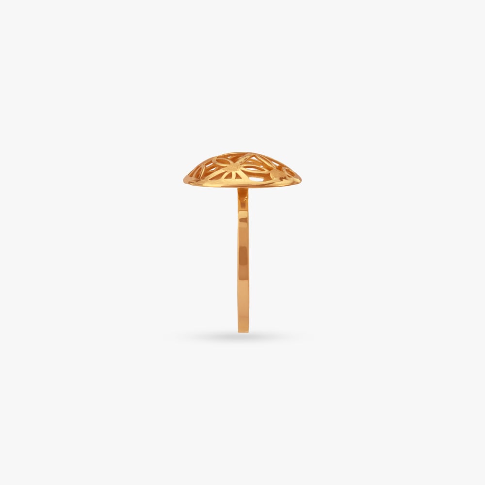 Sunlit Dome Gold Ring,,hi-res image number null