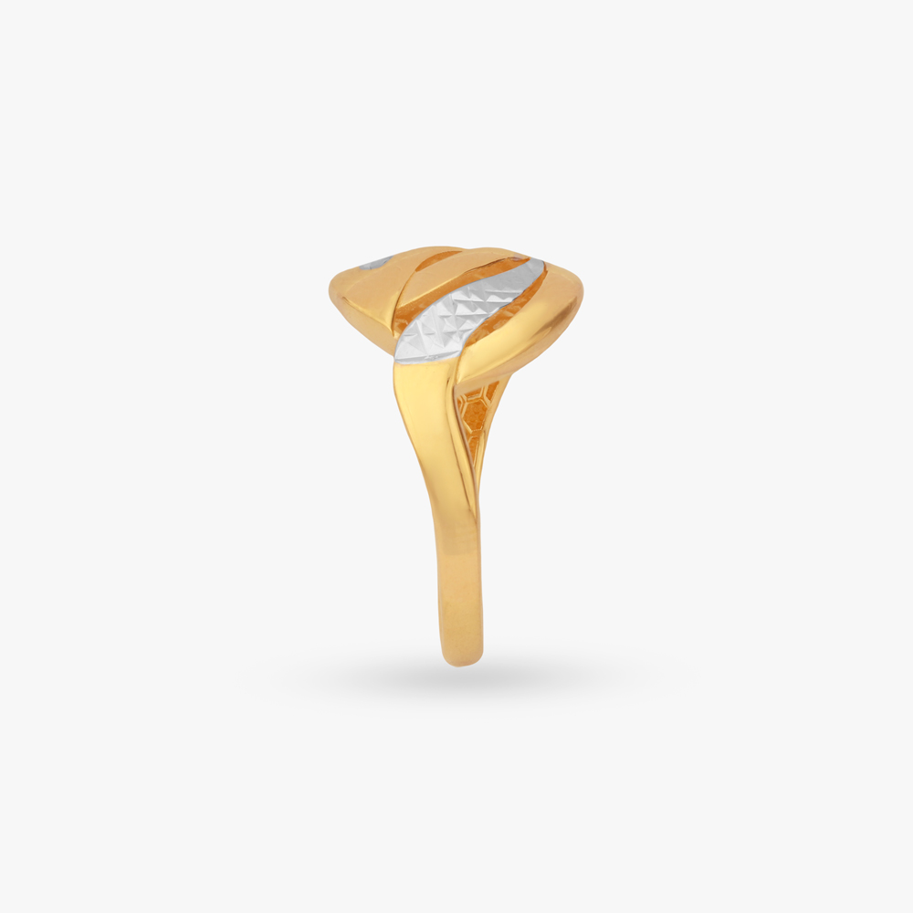 Crest Shine Gold Ring,,hi-res image number null